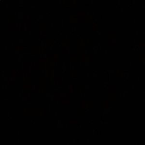 Meet your Posher, Callie